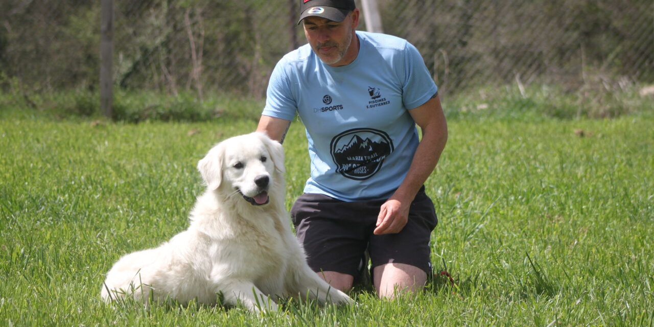 Winnie Golden Retriever jugando con la pelota