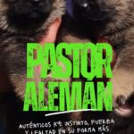 Pastores Alemanes K9 recomendada por Radikaldogs