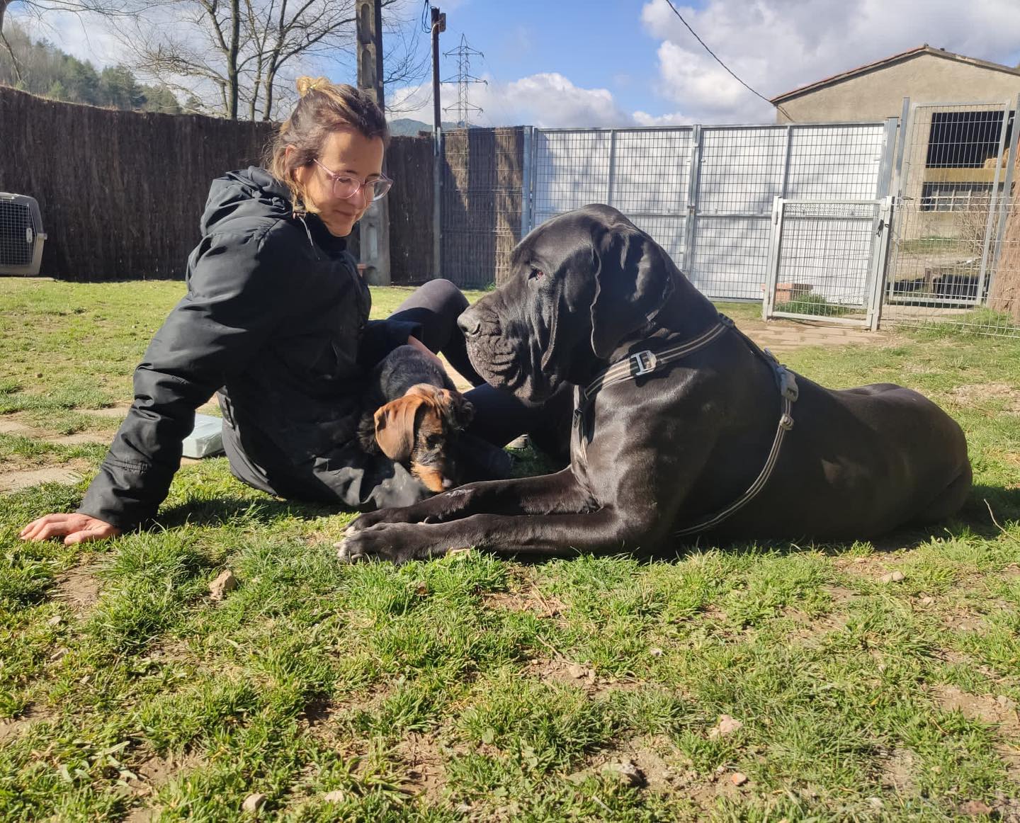 Meritxell Professional Canine Educator Together with Cane Corso
