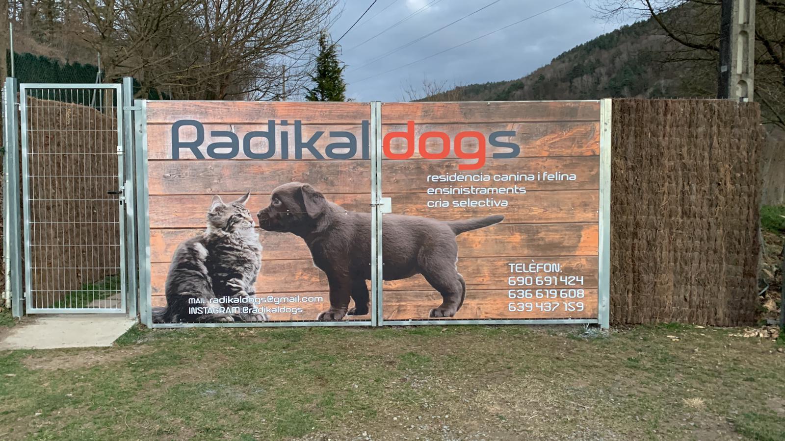 Entrada de la Residència Canina I Felina Radikaldogs