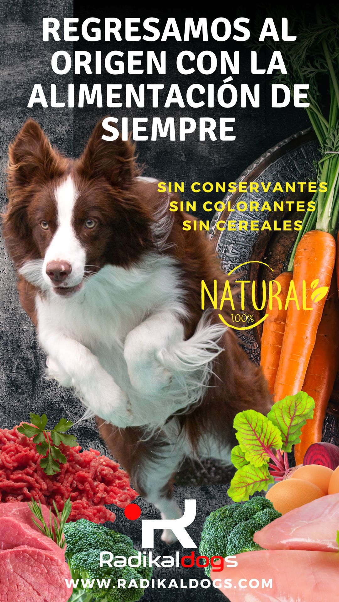 Alimentació BARF Premium Radikaldogs